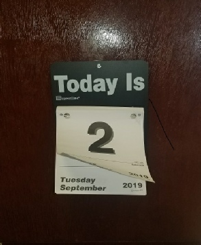 Dosaster Cleanup specialist